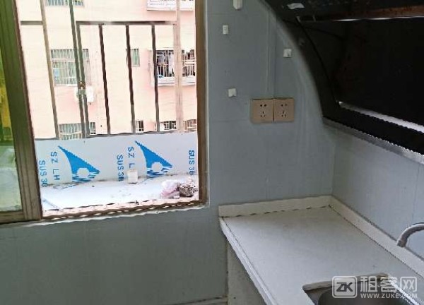 民治塘水围，豪华单间，拎包入住-5