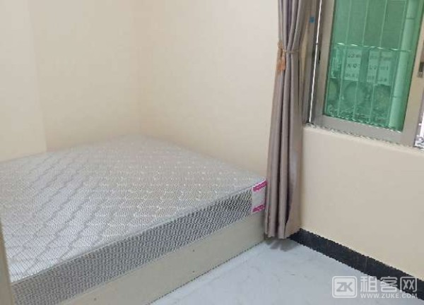 坪洲带阳台一房一厅，房东直租-2