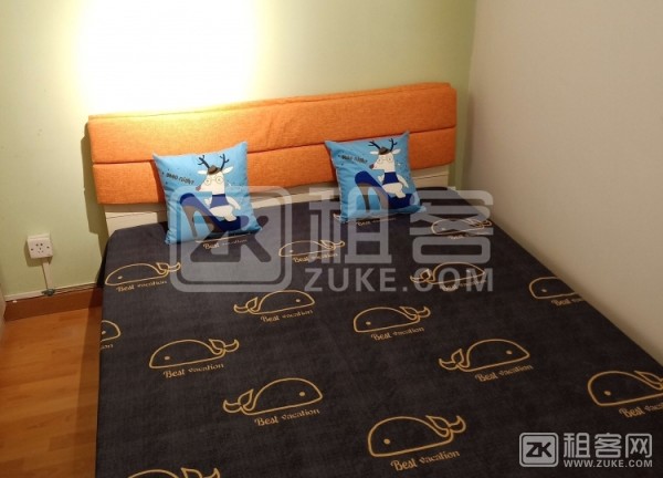 地铁青年路 首租大次卧 2480元 达美中心 朝阳大悦城-3