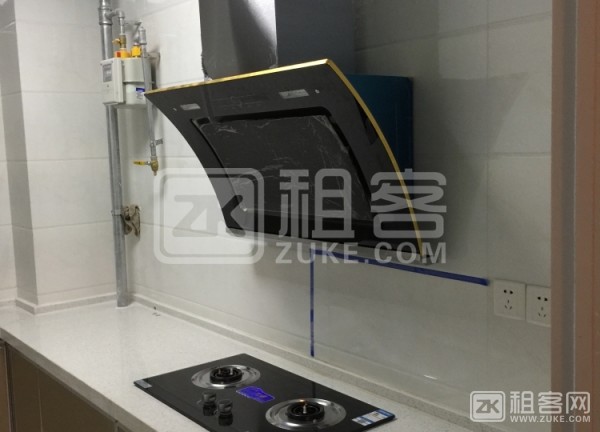 未来华庭两室两厅出租-1