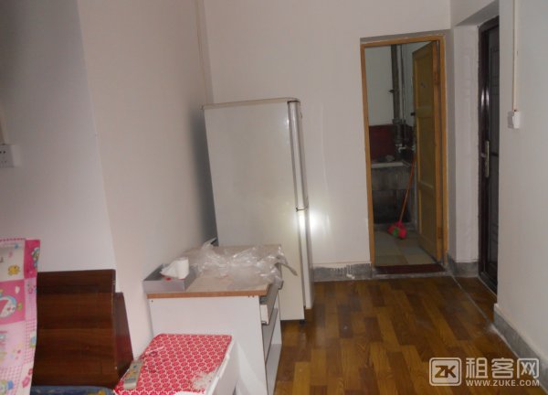 花卉园轻轨大龙山轻轨建材一室家电可短租-1