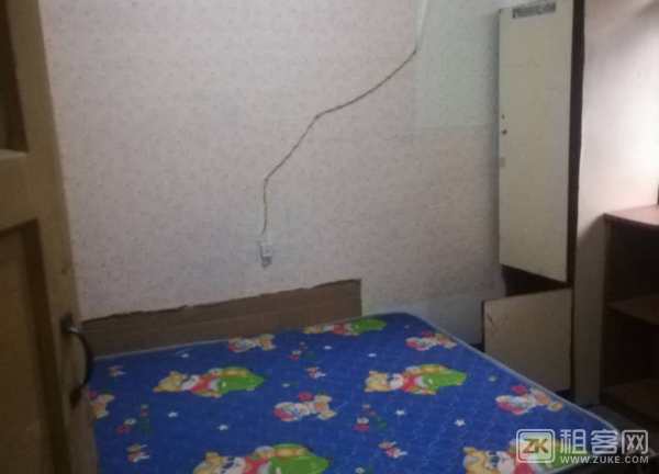 花卉园轻轨大龙山轻轨建材一室家电可短租-2