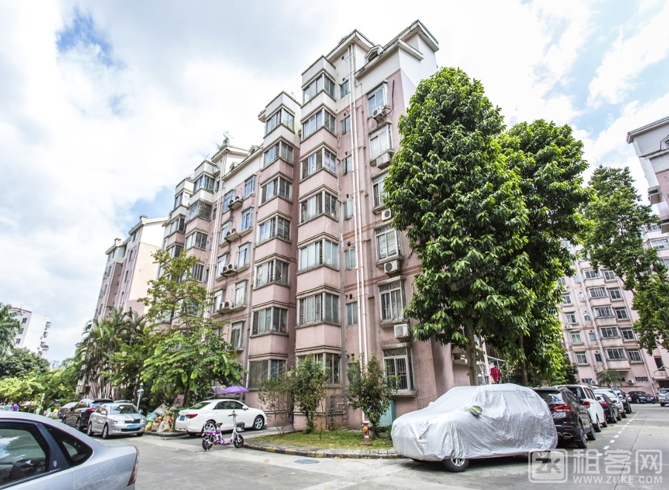 【租客网】,租客,深圳租房_租房网_深圳租房信息_房屋托管