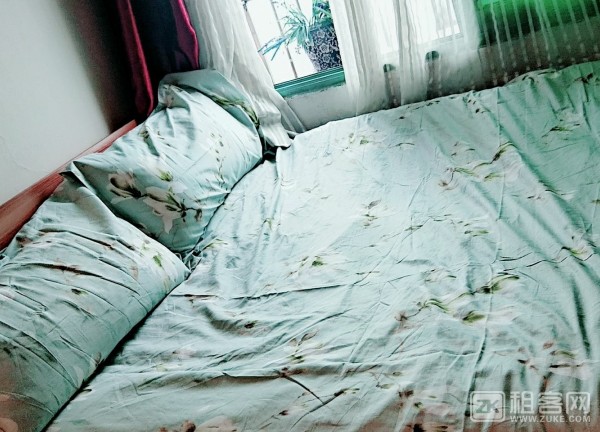 三峡广场温馨电梯小套房整租-2