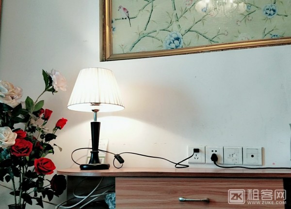 三峡广场温馨电梯小套房整租-6