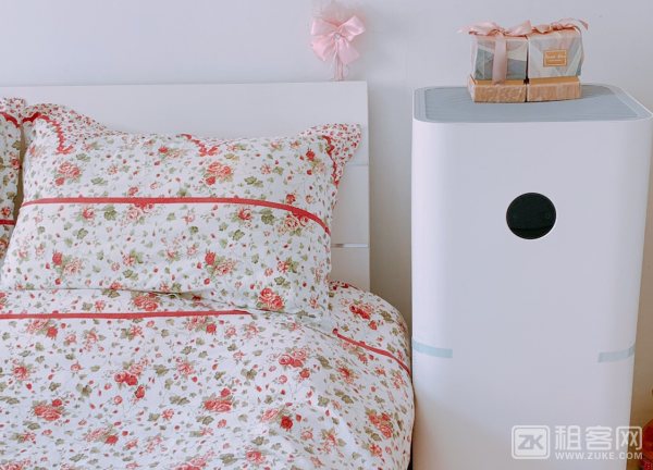 陆家嘴朝南主卧3500可短租可长租-6