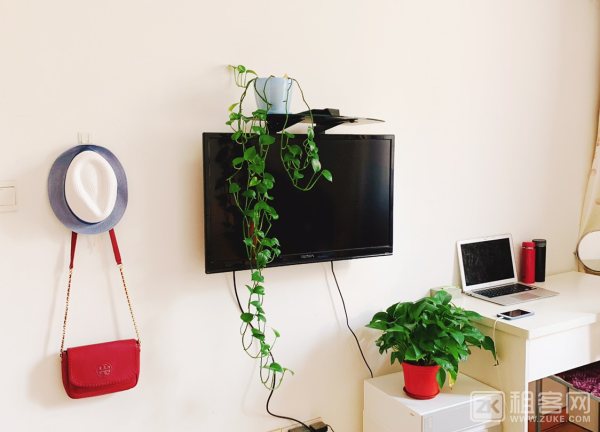 陆家嘴朝南主卧3500可短租可长租-5