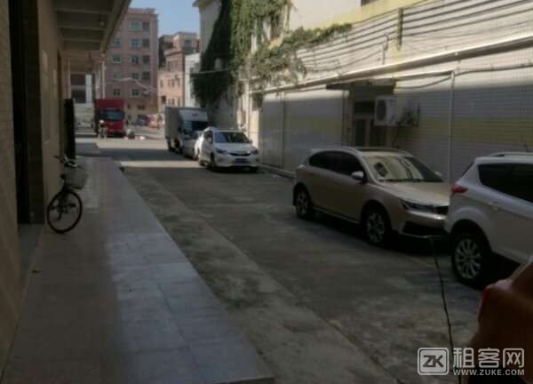 房东直租，住的安心放心-1