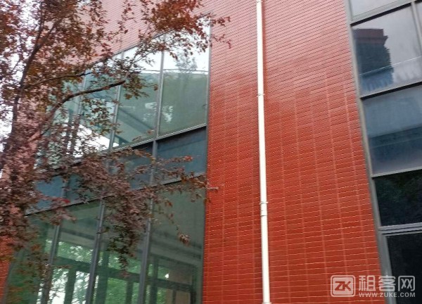 自精装独栋独立电梯小面积房-3